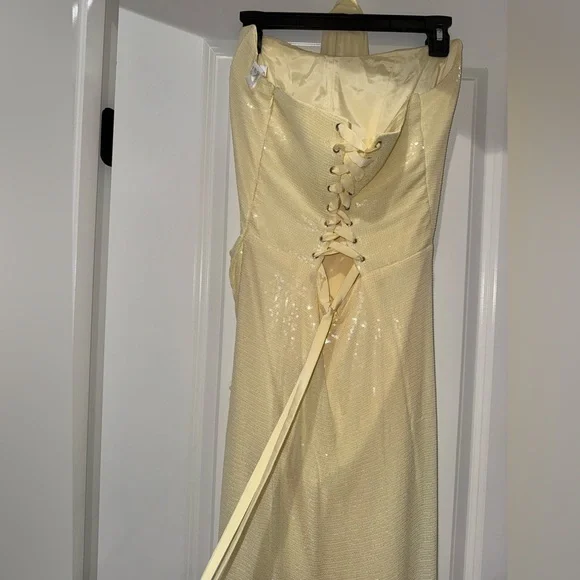 Maxi Dress/ Gown